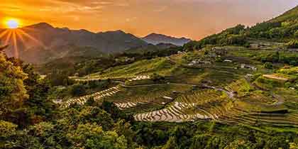 Banaue Rice Terraces